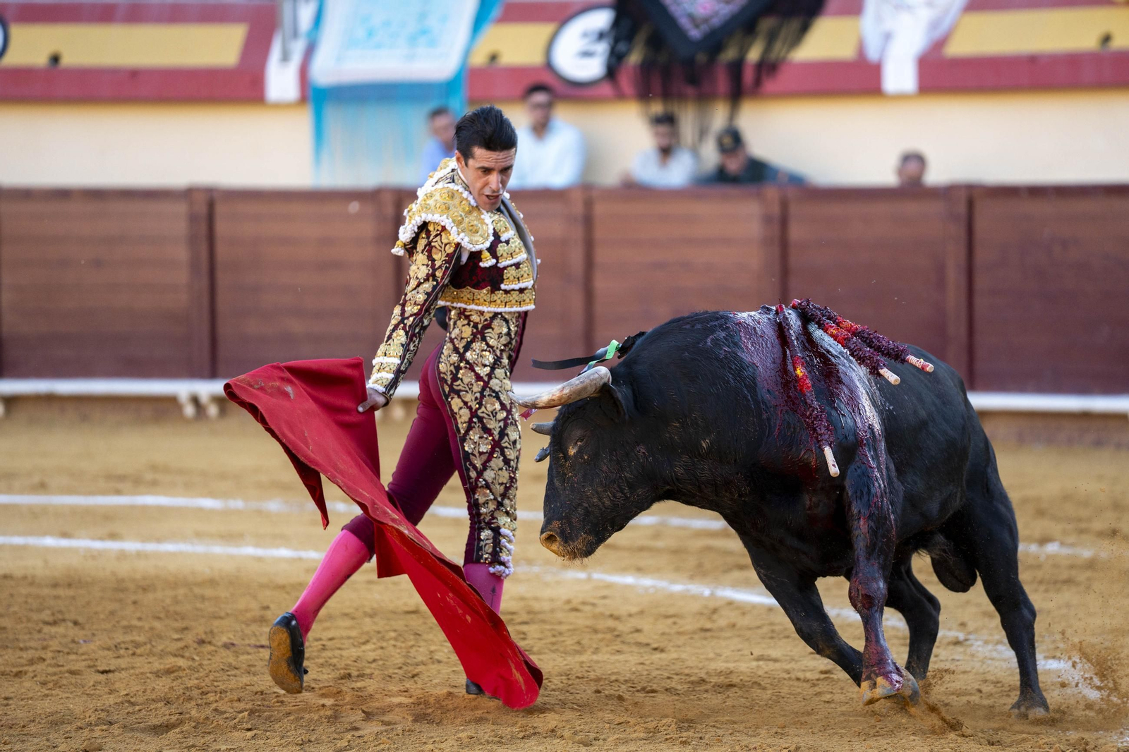 Las imágenes de los toros en Vera