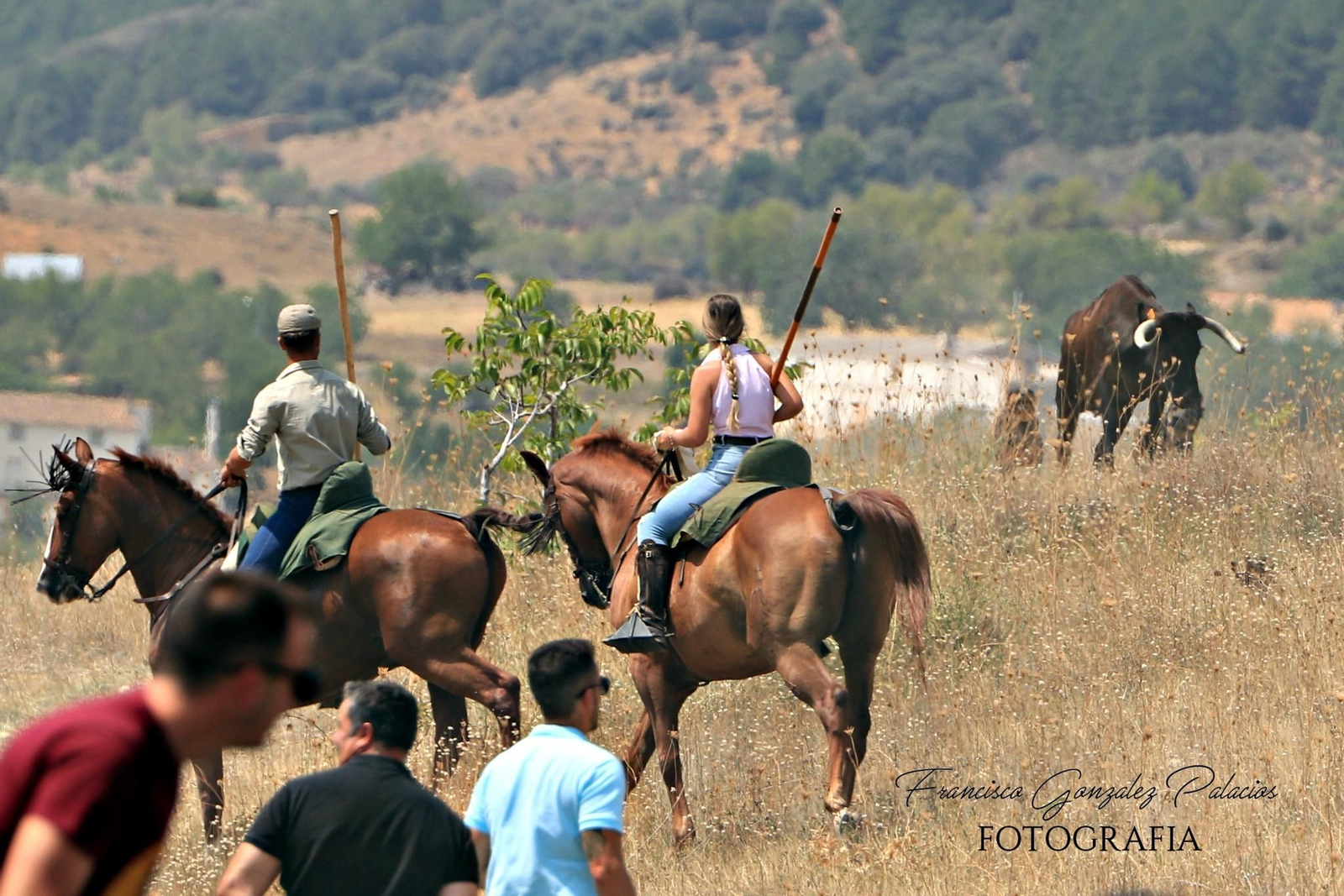 Saltos y fintas de vértigo en los encierros de Santiago de la Espada, en imágenes