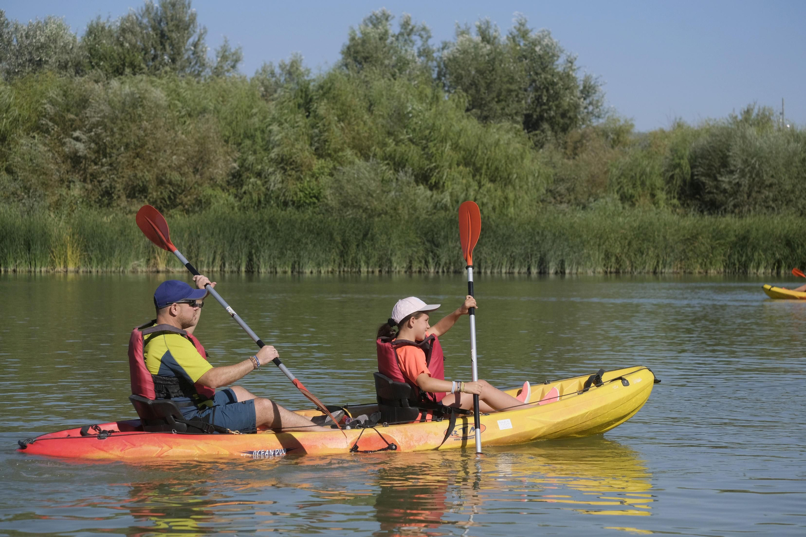 La ruta en kayak por el Guadalquivir de Córdoba se echa al agua, en imágenes