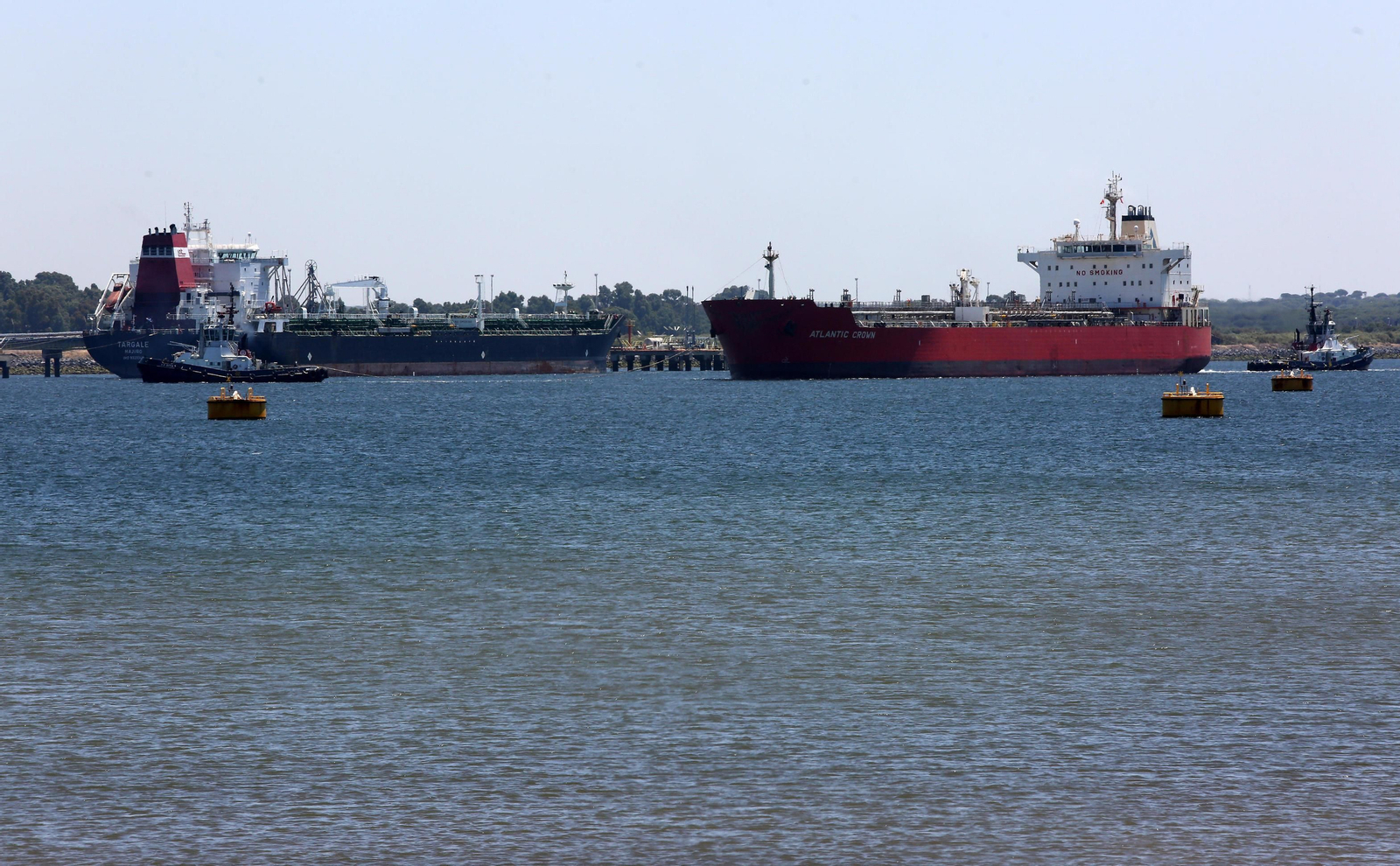 Buques operando en el Muelle Ingeniero Juan Gonzalo durante la mañana de ayer.