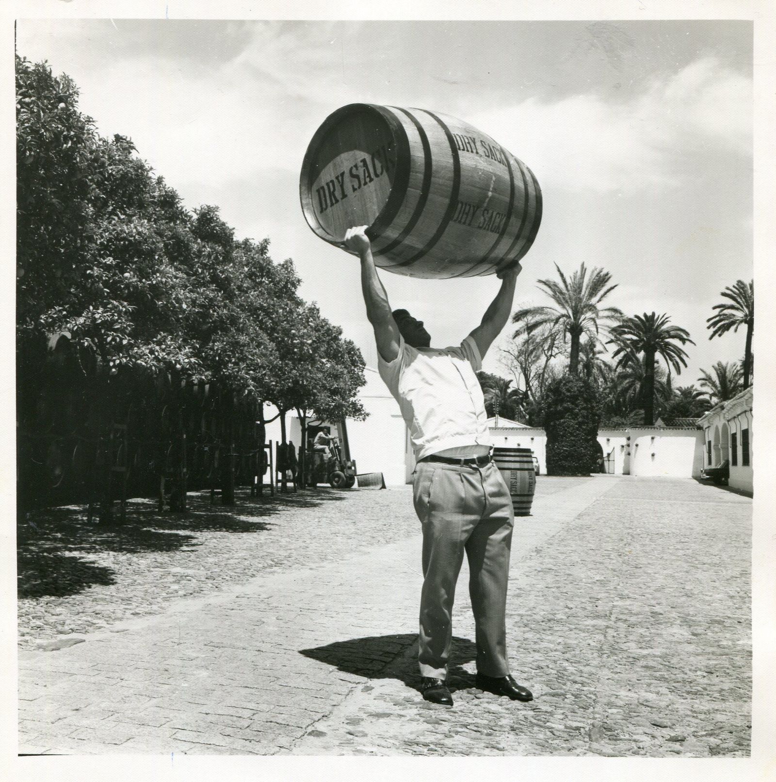 Urtain en Williams&Humbert.