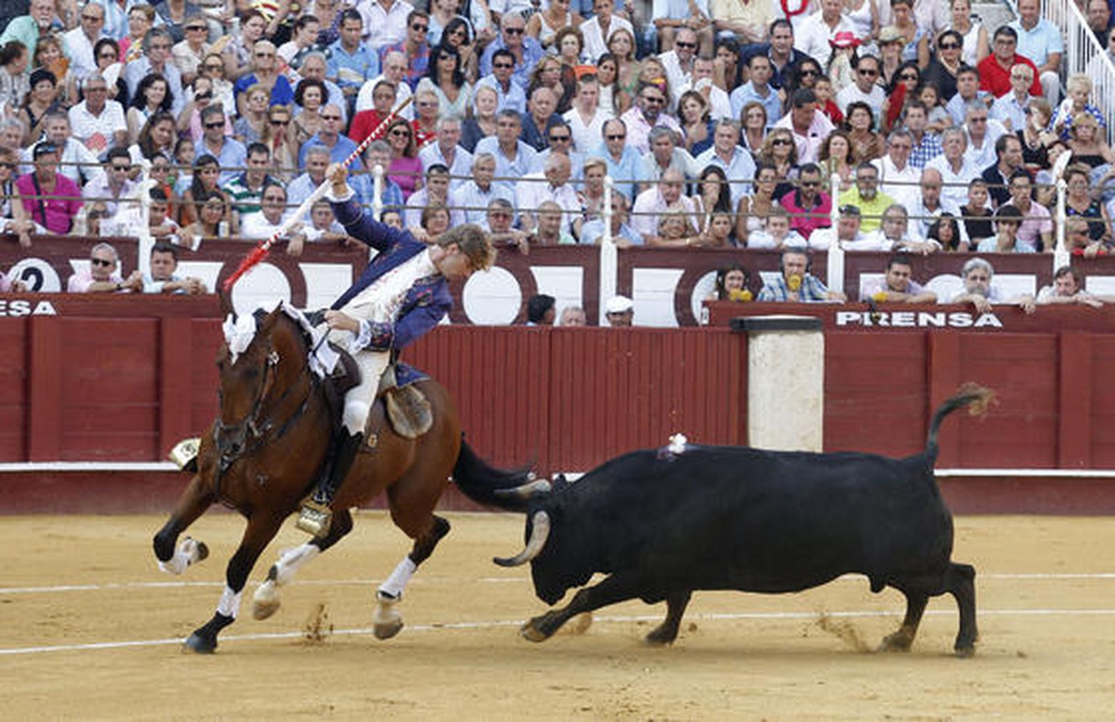 Foto: Sergio Camacho