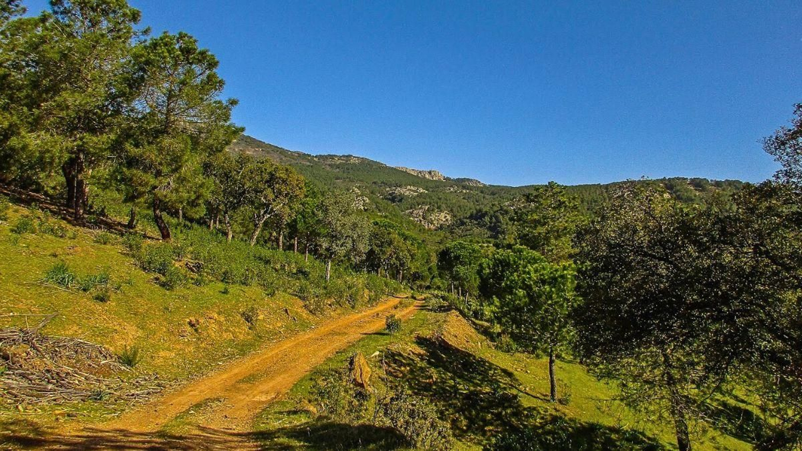 Durante los últimos días del verano y todo el otoño Despeñaperros es un destino ideal para hacer senderismo.