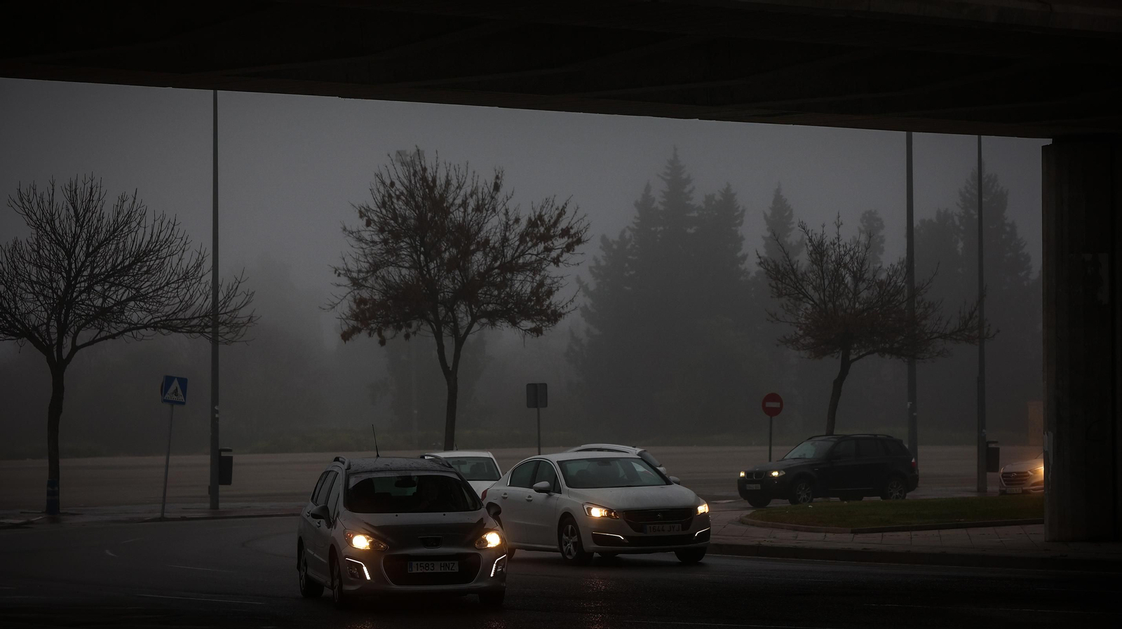 Densa niebla en Jerez