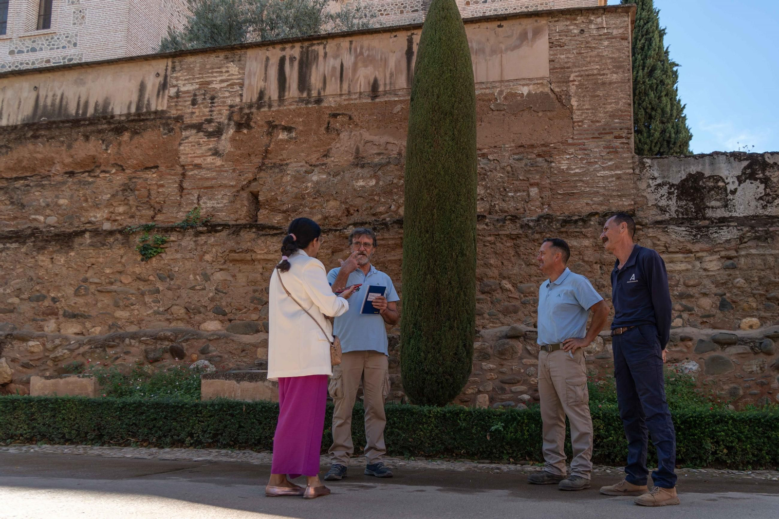 El trabajo de poda en la Alhambra, en imágenes