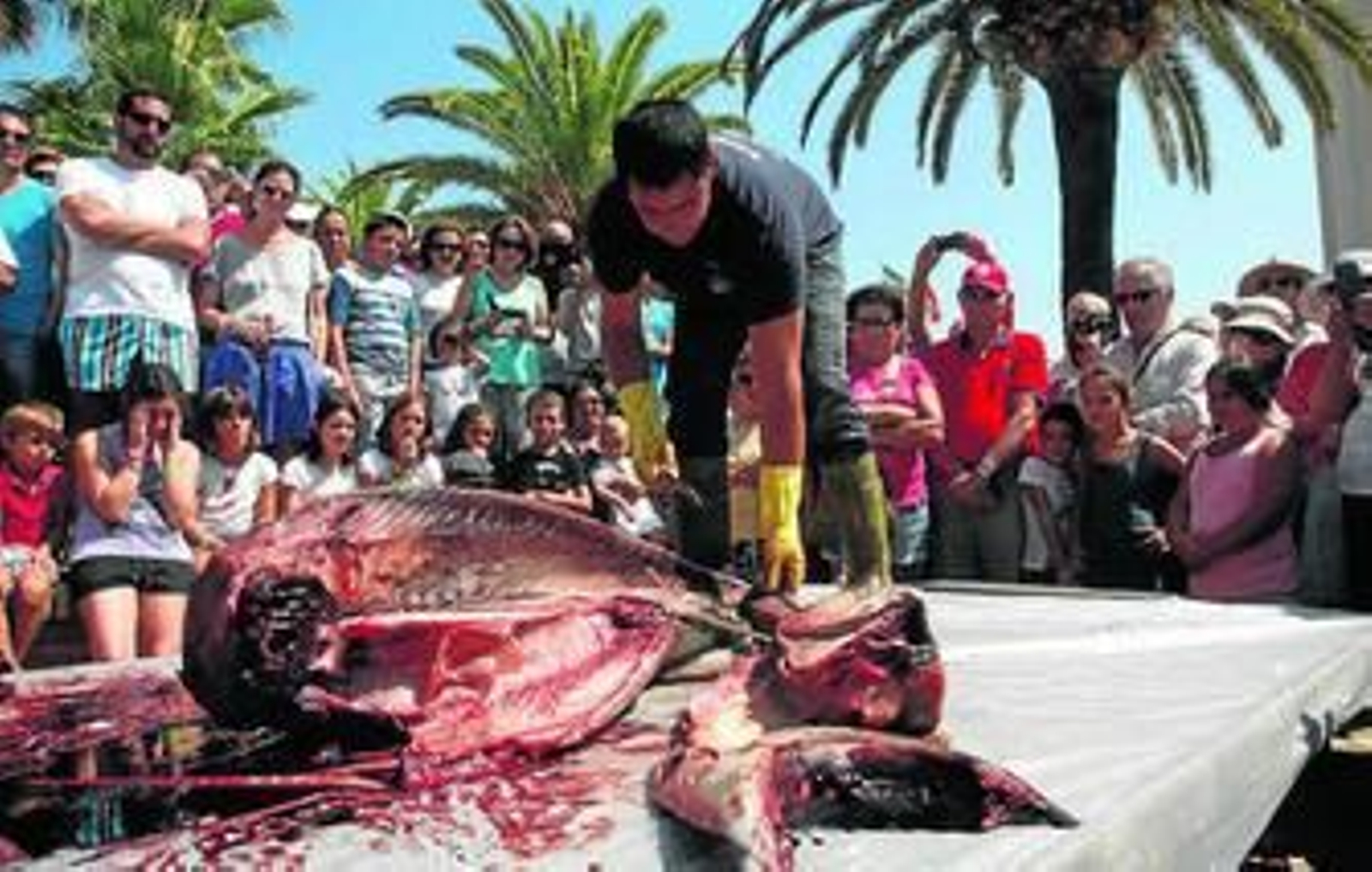 Proceso de despiece de un buen ejemplar de atún en la edición anterior de las jornadas.