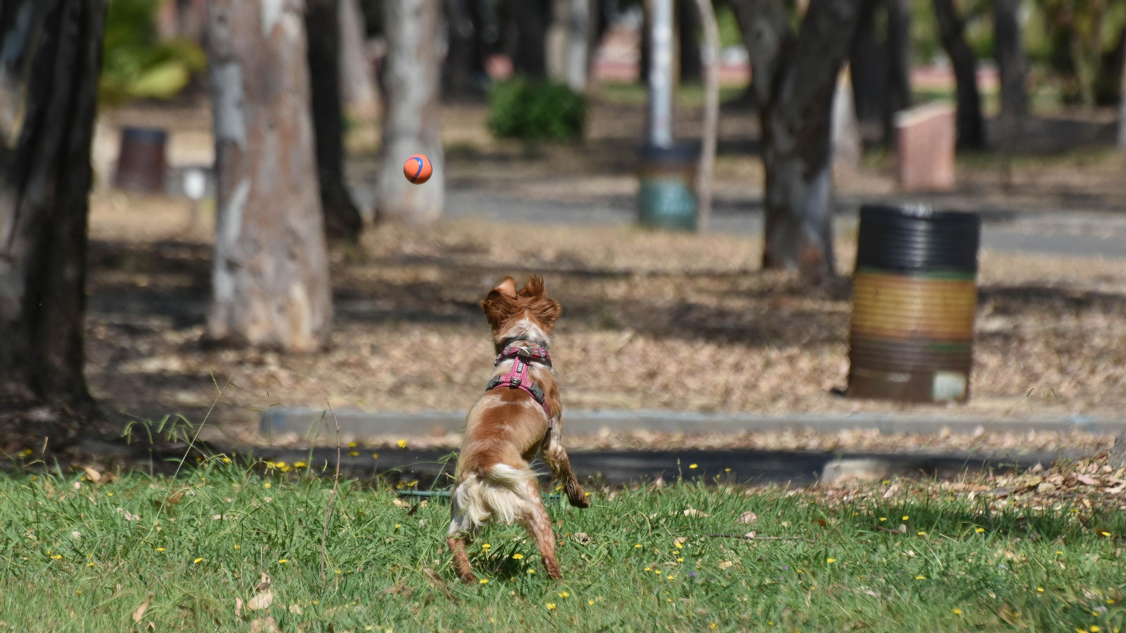 Un día en el Parque Princesa Sofía en La Línea