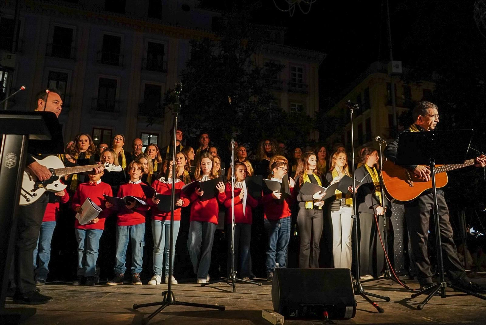 Fotos: así son las nuevas luces de Navidad de Granada
