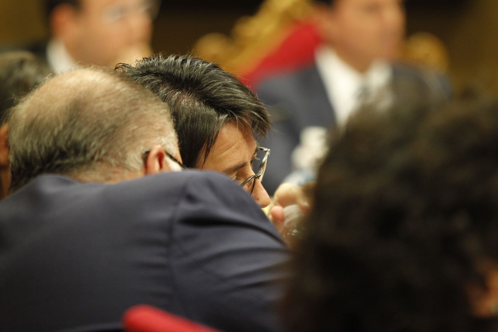 Fotogalería Pleno Ordinario Diputación de Almería