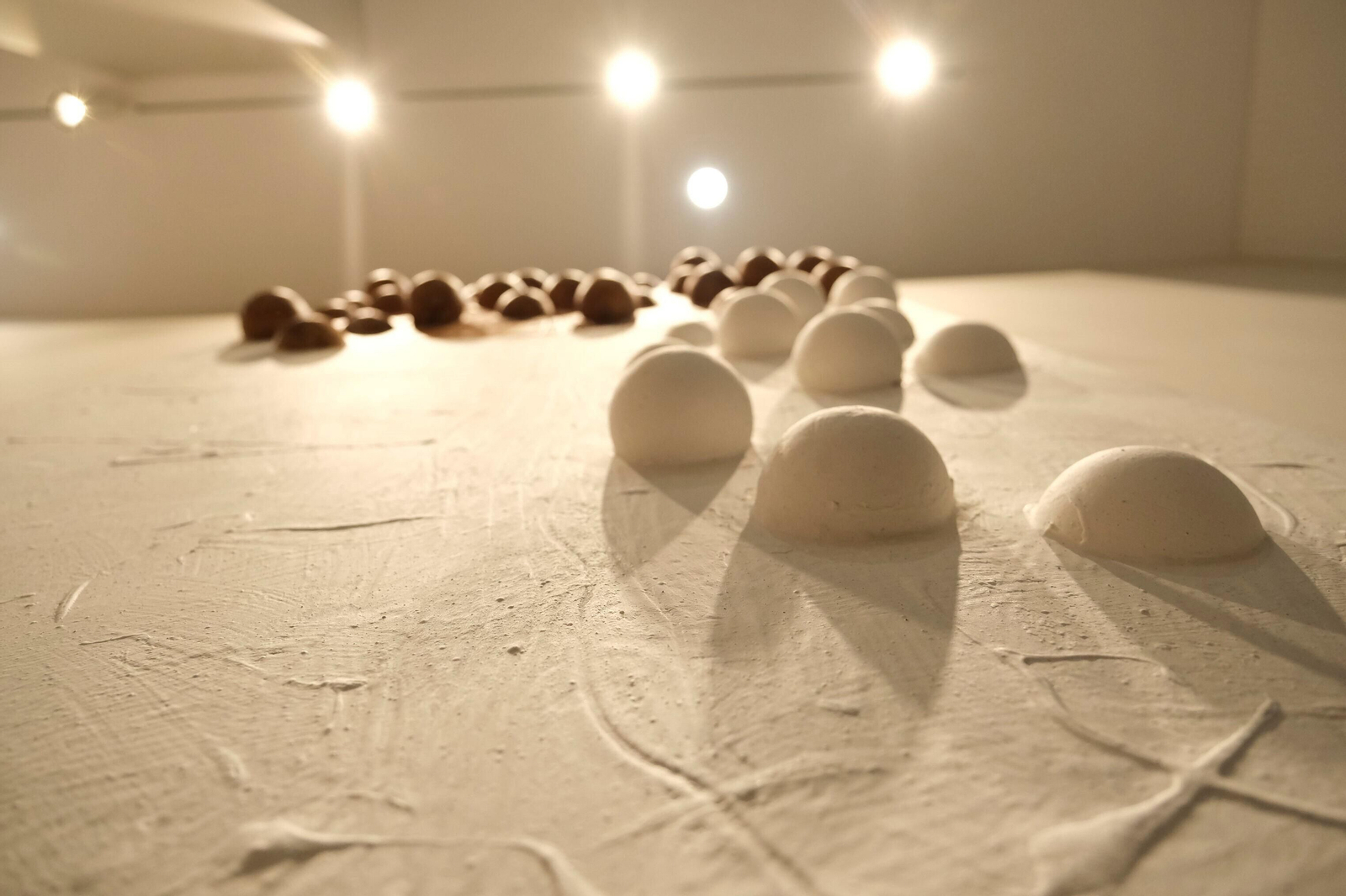 Francisco Arroyo Ceballos expone en la Fundación Caja Rural del Sur de Córdoba su 'Teoría del Sur'