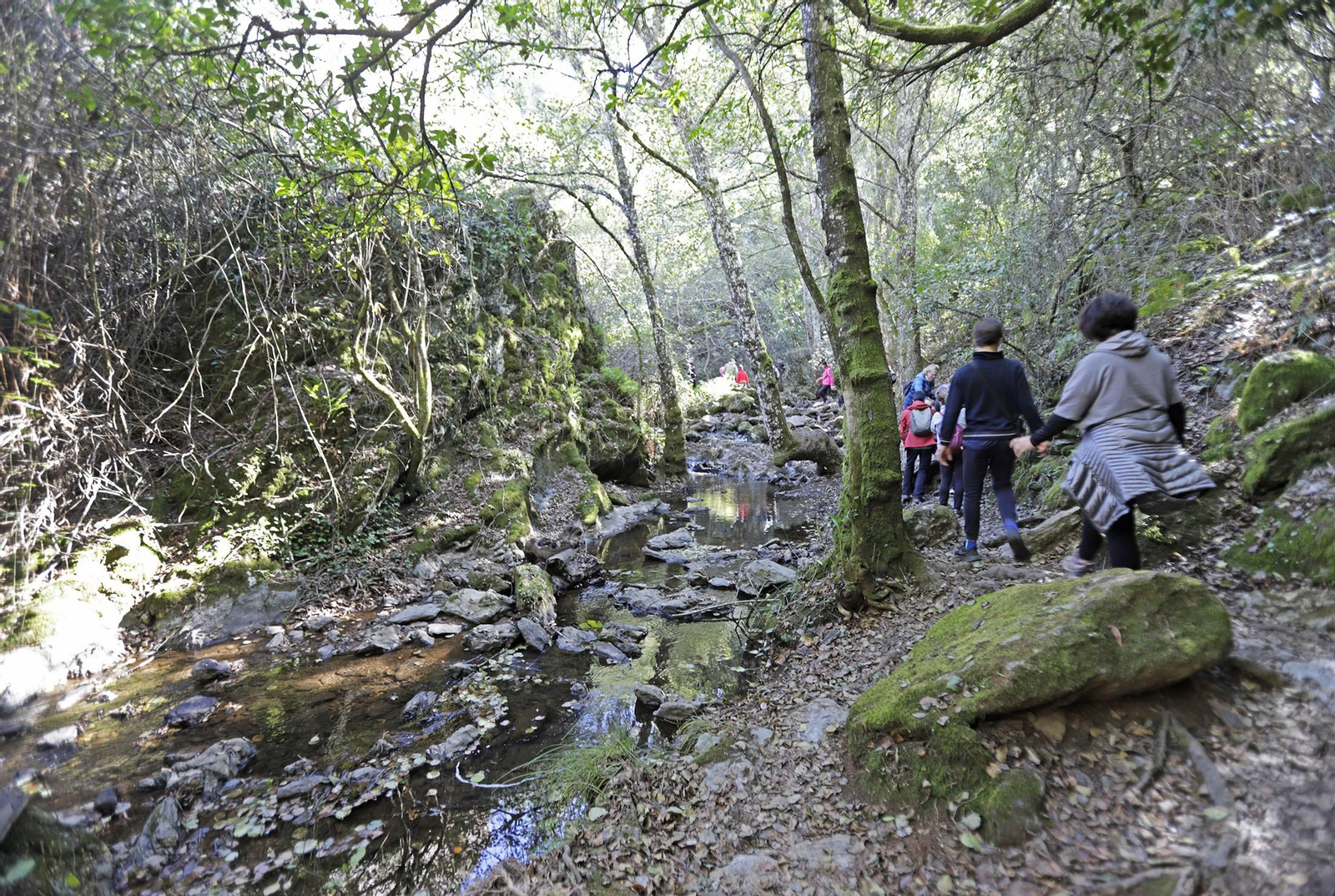 Ruta de Senderismo Charco Malo