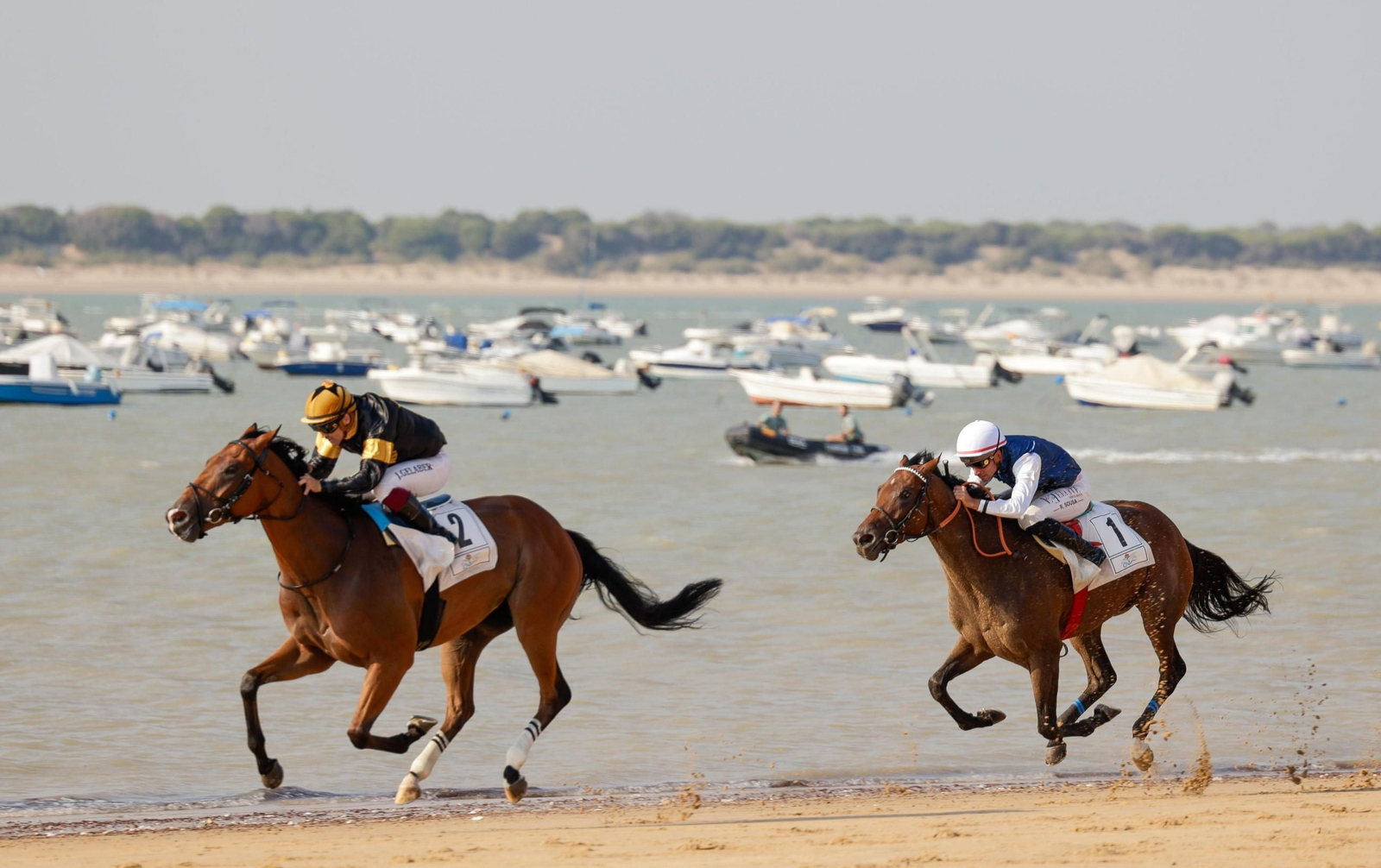 Imagen de la segunda jornada del ciclo final de las Carreras de Caballos de Sanlúcar 2025