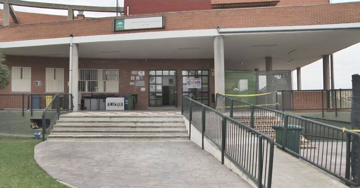 AMPAS de Casares y Manilva reclaman un nuevo instituto en la zona