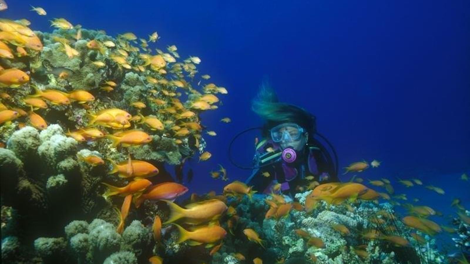 Es una zona famosa entre los amantes del buceo.