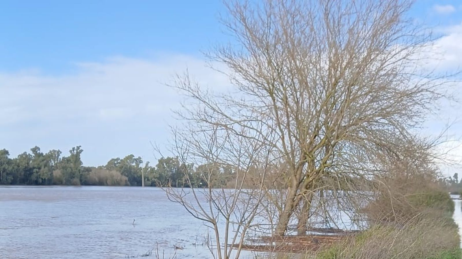 Asaja ha estimado en 180 millones la producción agrícola perdida.
