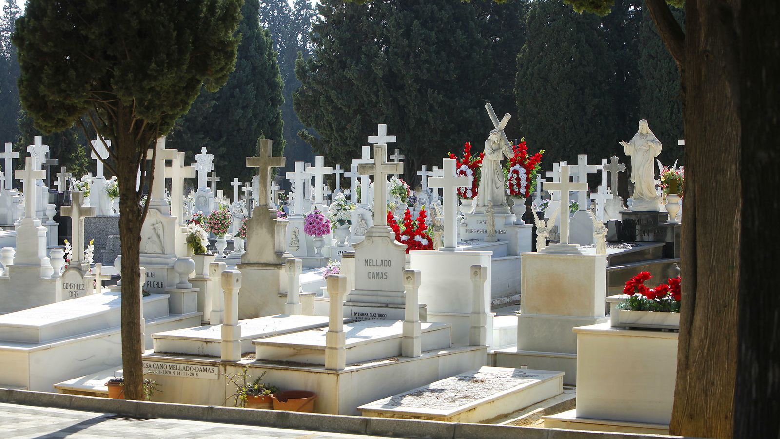 La cruces se multiplican sobre el fondo verde de los cipreses en el Cementerio de San Fernando.