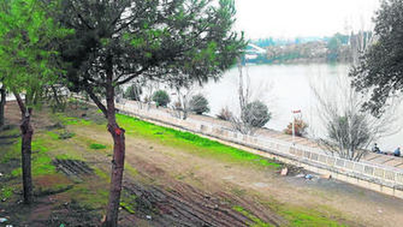 El Ayuntamiento ha iniciado la limpieza y acondicionamiento de esta zona del paseo, donde irá el 'pipican'.