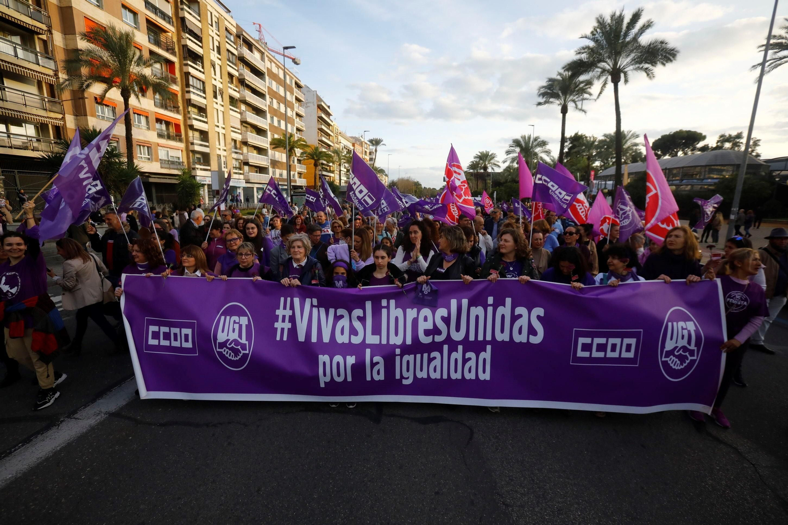 La manifestación del 8M en Córdoba, en imagenes