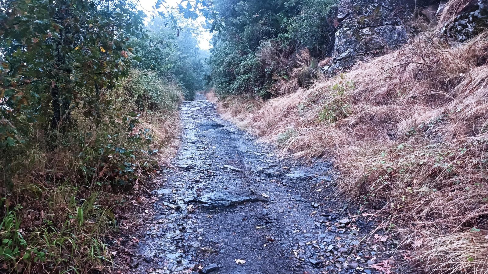 Sendero que parte junto a la carretera tras la salida de Igüeña.