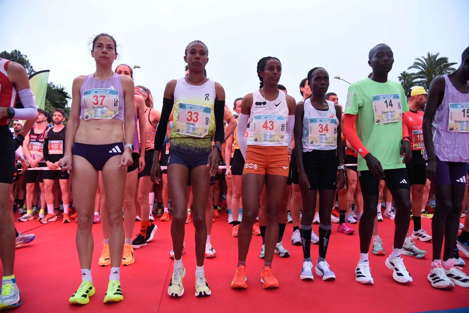 1/2 Maratón Sevilla 1