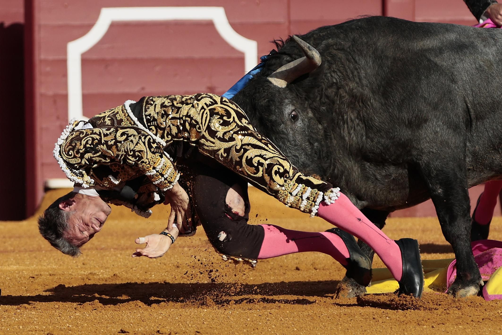 Las imágenes del festejo
