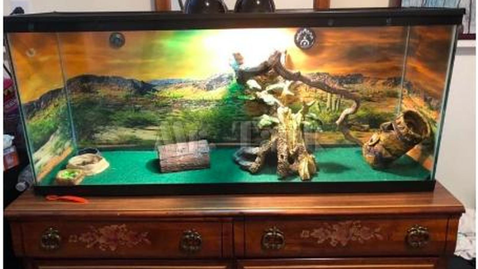 Lámina terrario Aliexpress