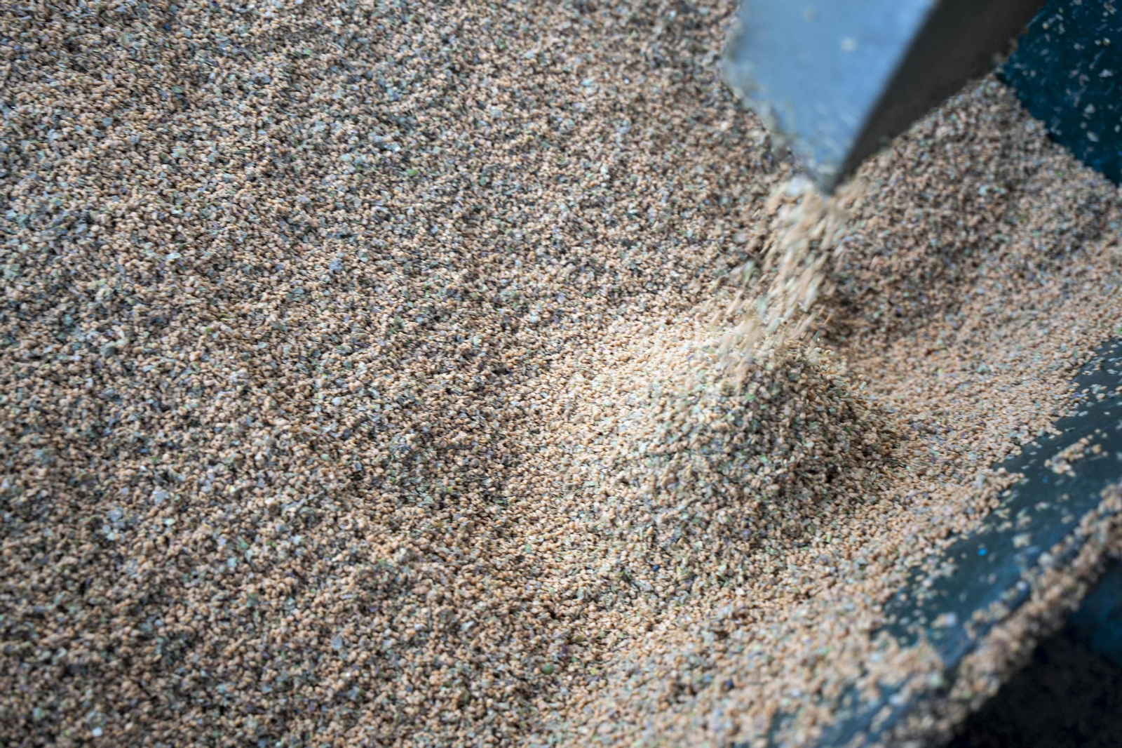 Os enseñamos como se hace el aceite en la almazara de Fiñana, en imágenes