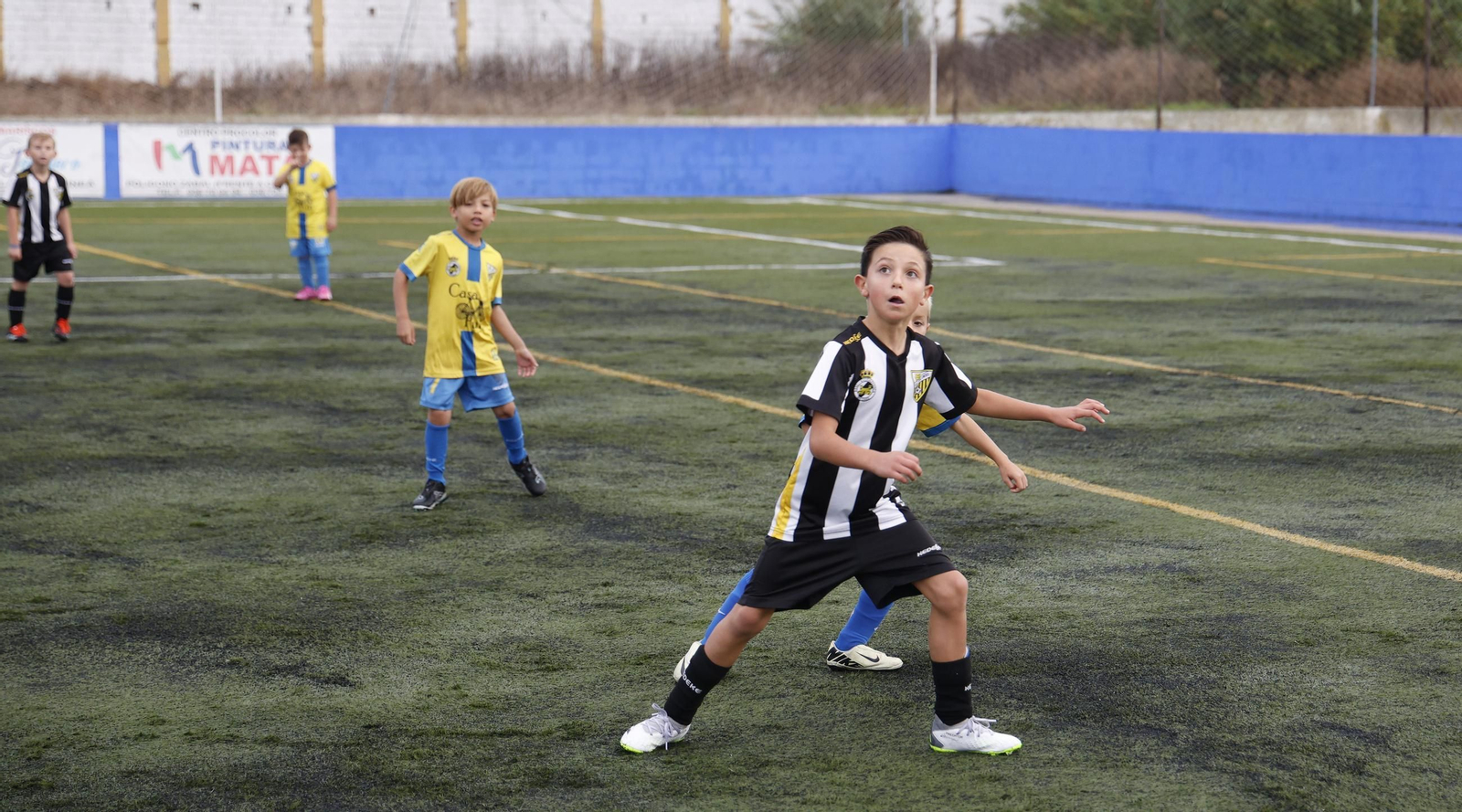 Las fotos del Torneo Ciudad de La Línea de bebés y prebenjamines