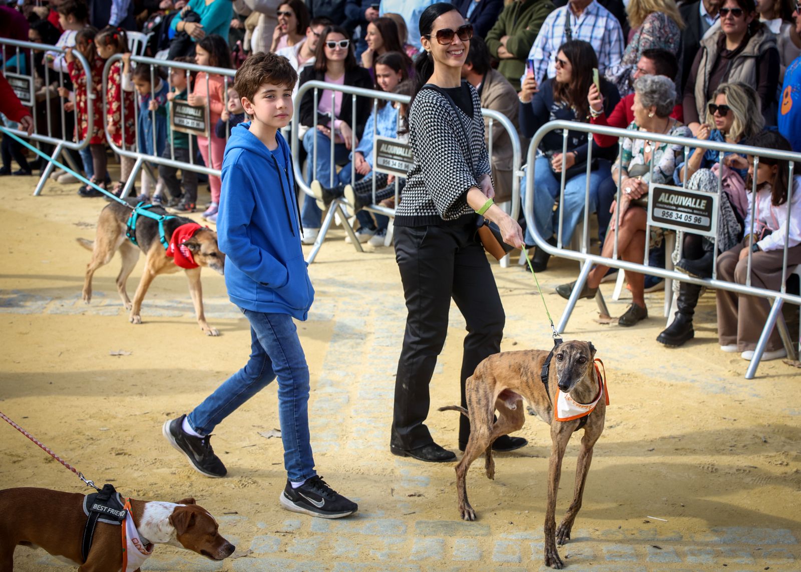 Fiesta de san Antón 2024 en Jerez