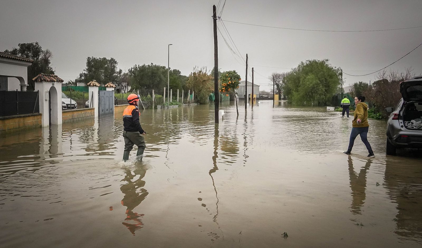 Imágenes de las graves consecuencias de la crecida del rio Guadalete en la zona rural de Jerez