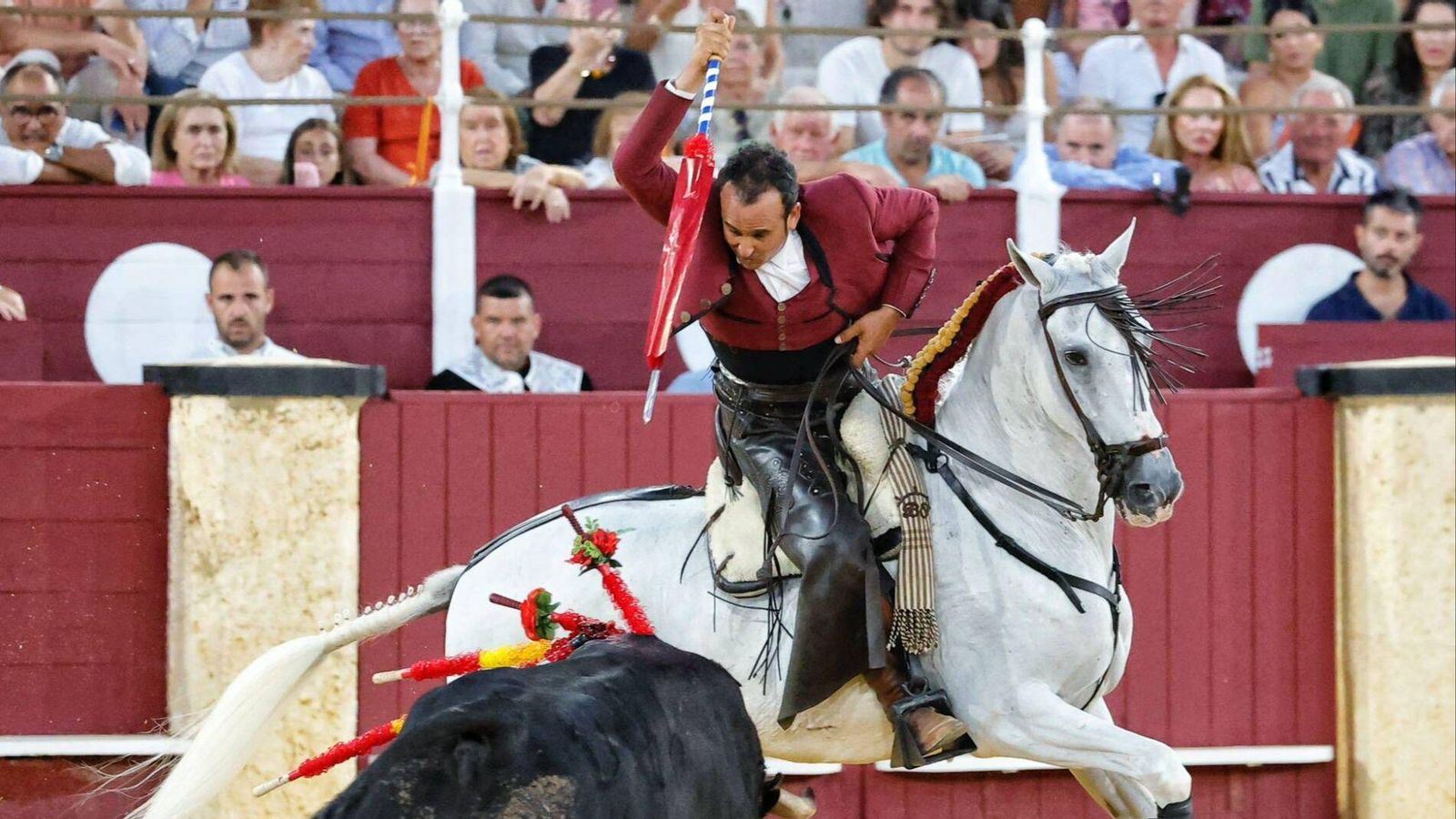 Ferrer Martín.