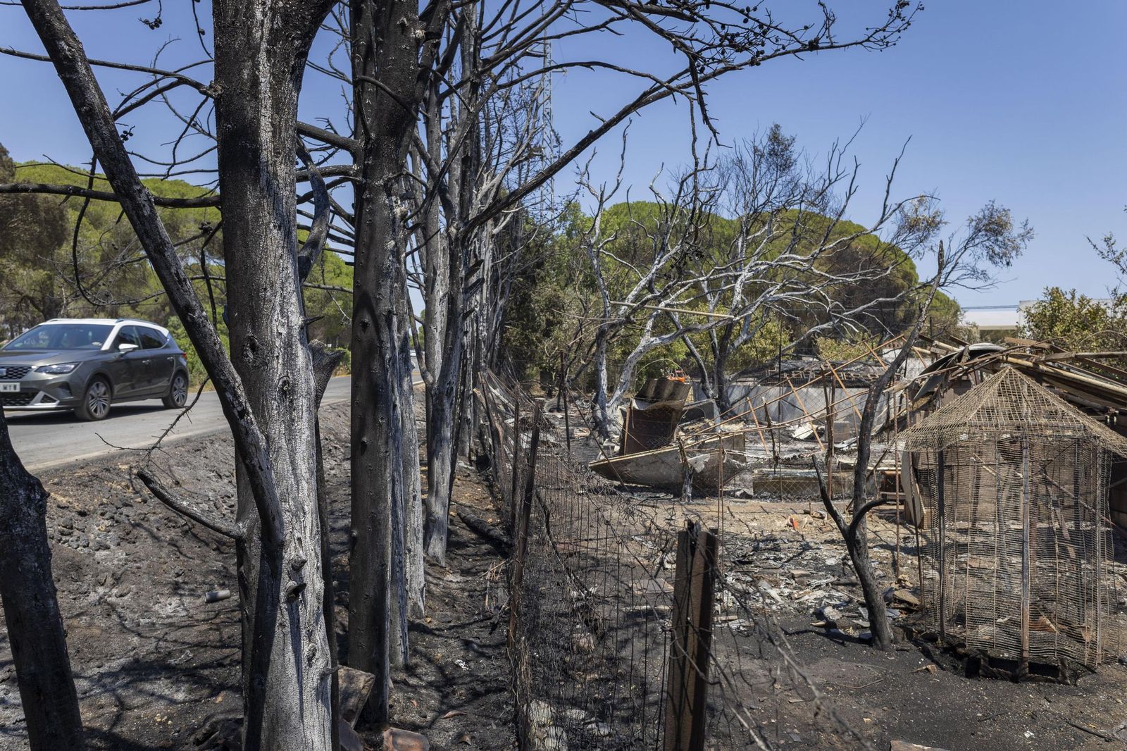 Las imágenes del incendio declarado junto a Roche, en Conil