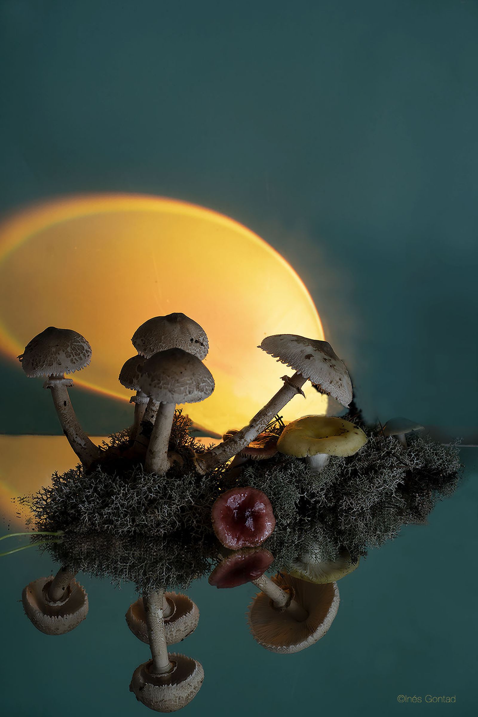 Foto original de Inés Gontad.