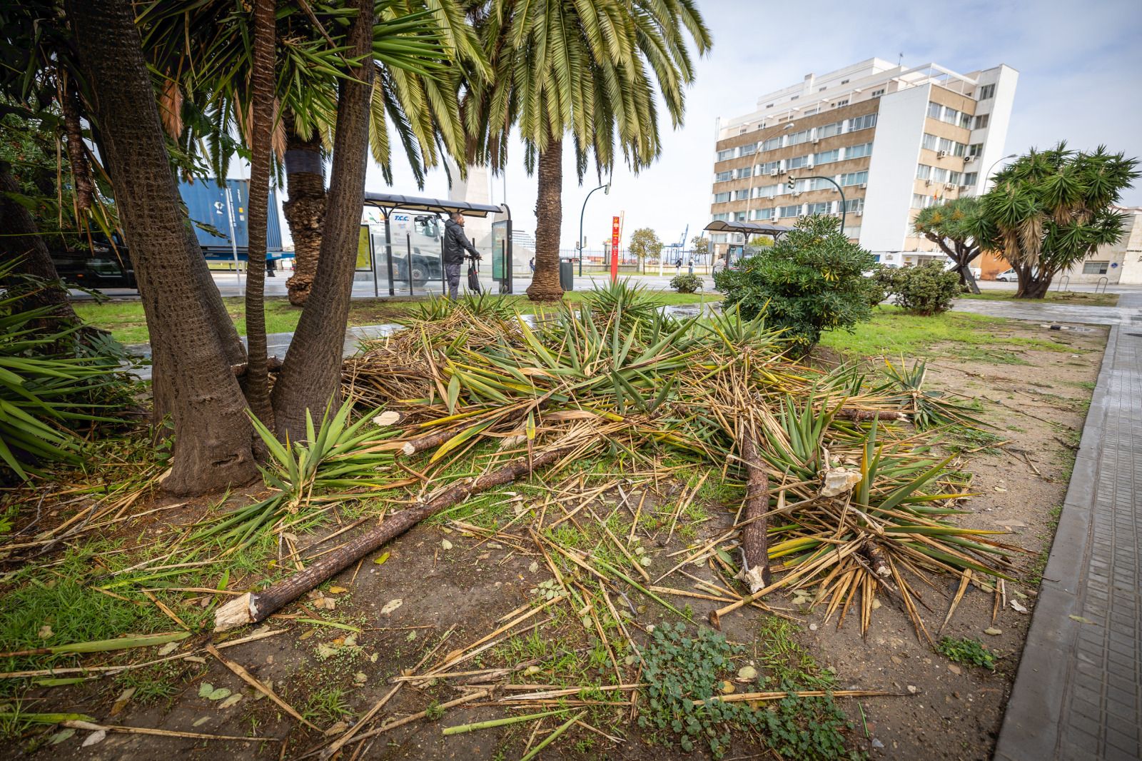 Los daños aún visibles del temporal Bernard en Cádiz