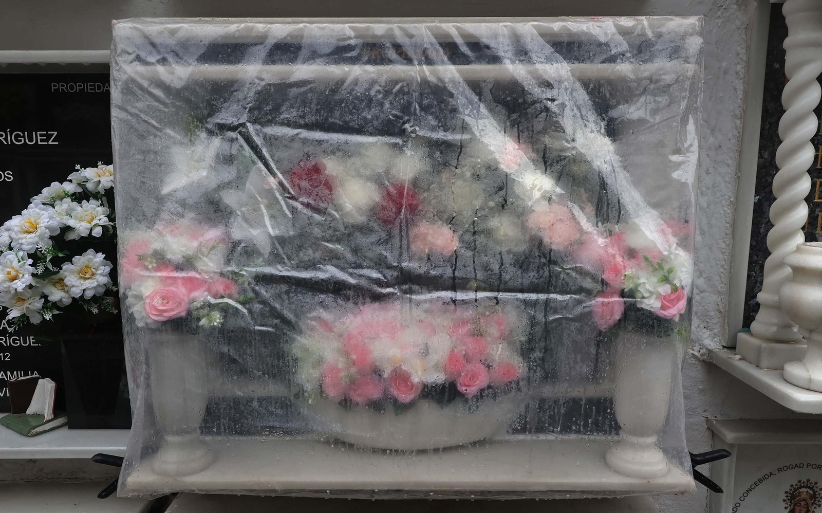 Fotos de los preparativos para Tosantos en el cementerio de Algeciras