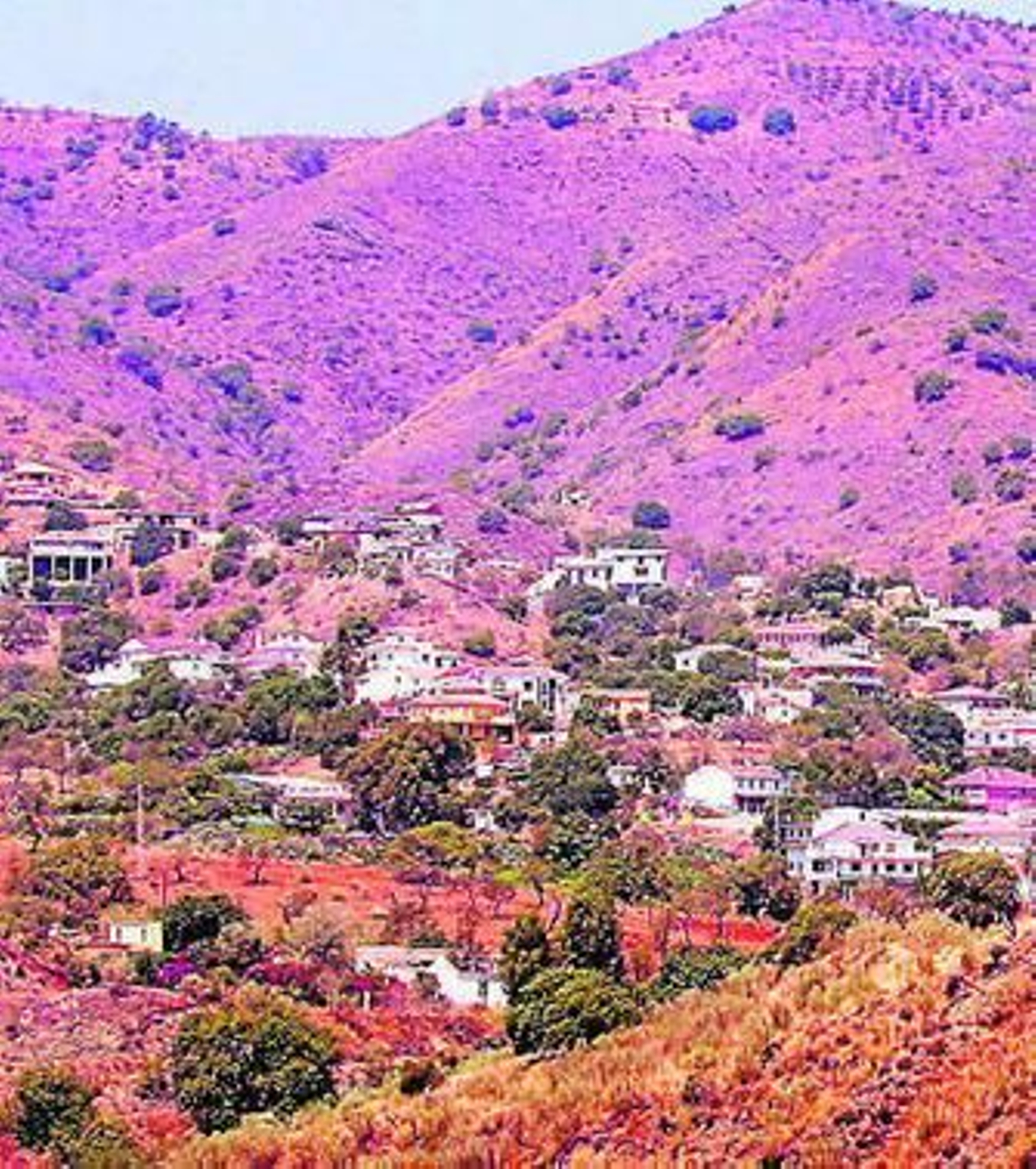 Vista general de viviendas en la Axarquía.