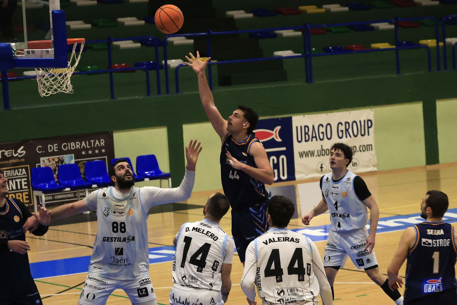 Las fotos del Unión Linense Baloncesto - Jaén Paraíso Interior FS de Tercera FEB