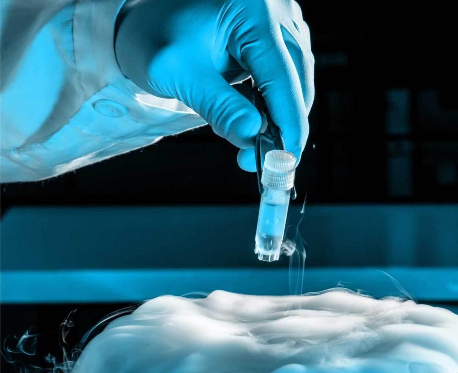 Proceso de congelación de óvulos