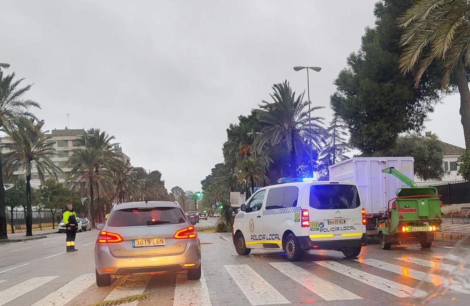 Un tramo de la avenida Alcalde Álvaro Domecq cortado por la caída de una palmera.