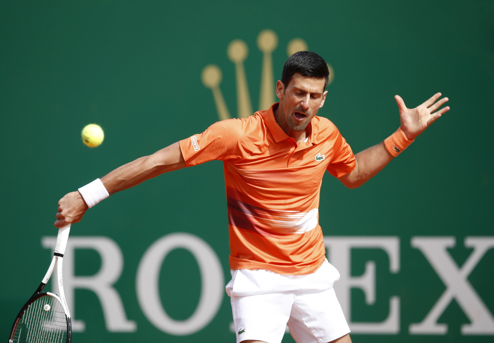 Las fotos del Djokovic-Davidovich