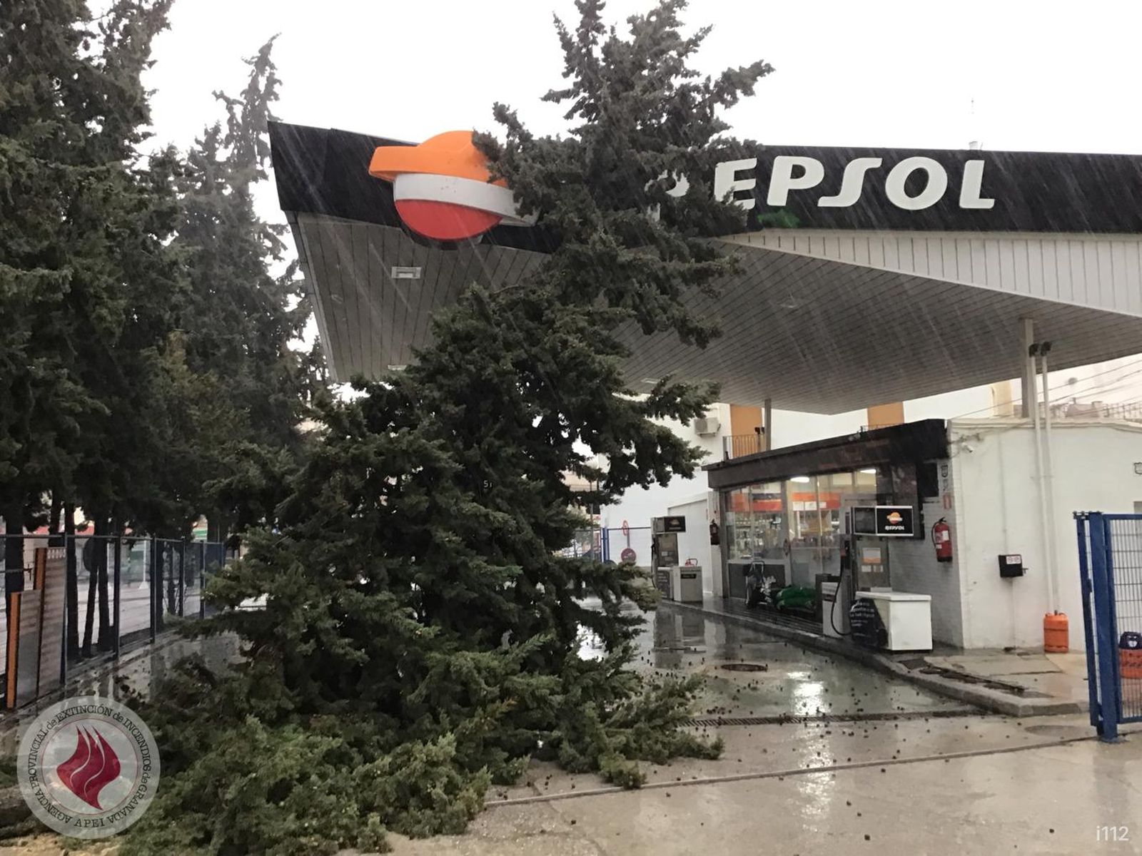 El viento ha generado la caída de un pino sobre una gasolinera en Alhama de Granada