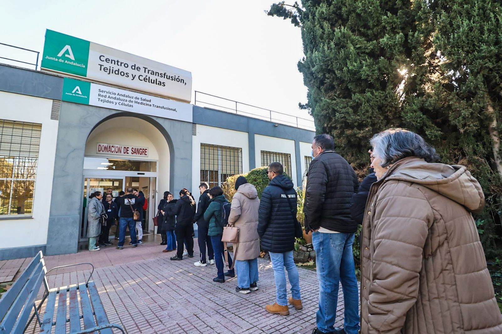 Cola de ciudadanos para donar sangre en el Centro de Transfusión de Córdoba.