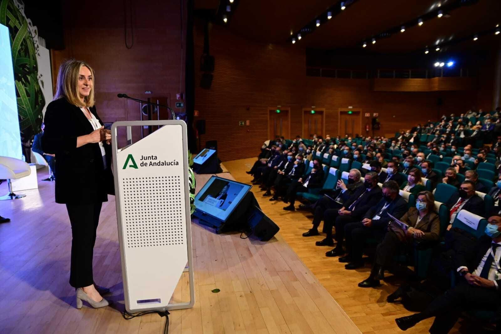 La consejera de Fomento, Marifrán Carazo, durante la inauguración del V Congreso Andaluz de Carreteras. La consejera de Fomento, Marifrán Carazo, durante la inauguración del V Congreso Andaluz de Carreteras.