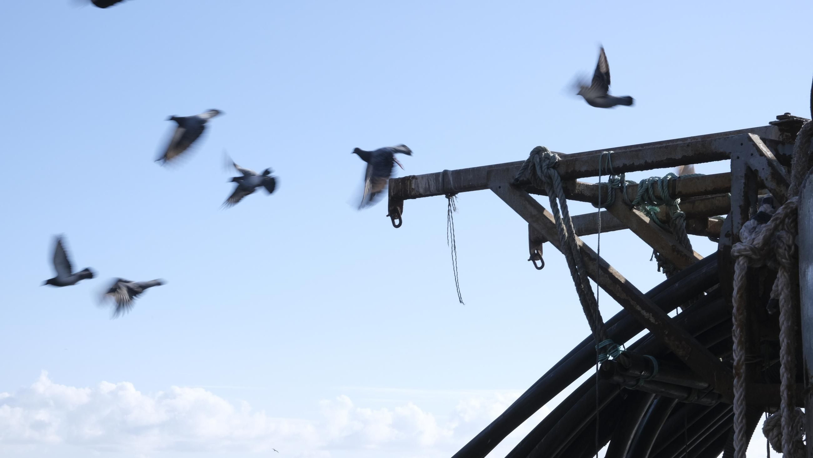 La piscifactoría de El Cañarete, en imágenes