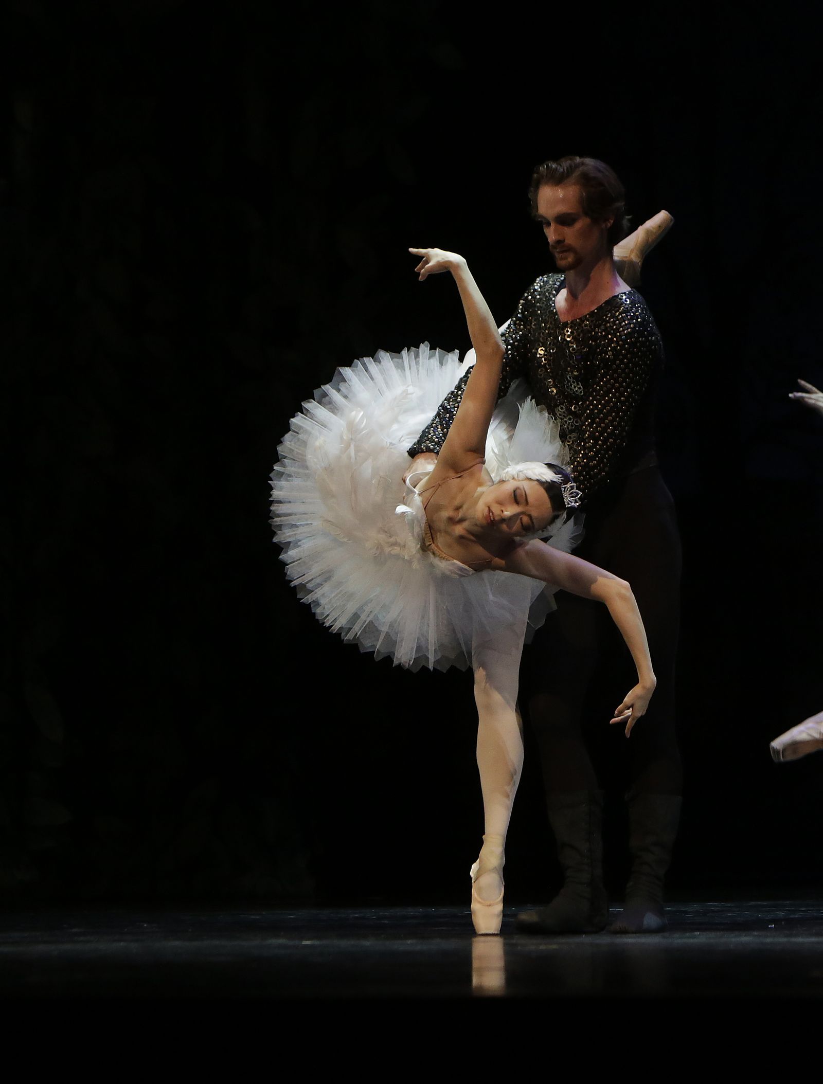 EL LAGO DE LOS CISNES