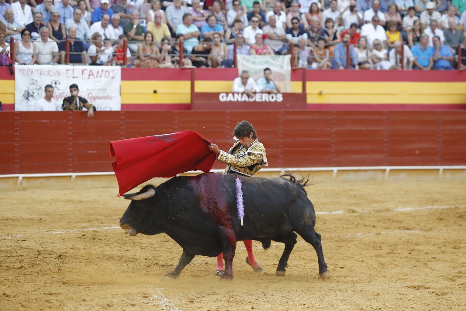 Fotogalería corrida de toros Roquetas de Mar. El Fandi, Castella, Cayetano.