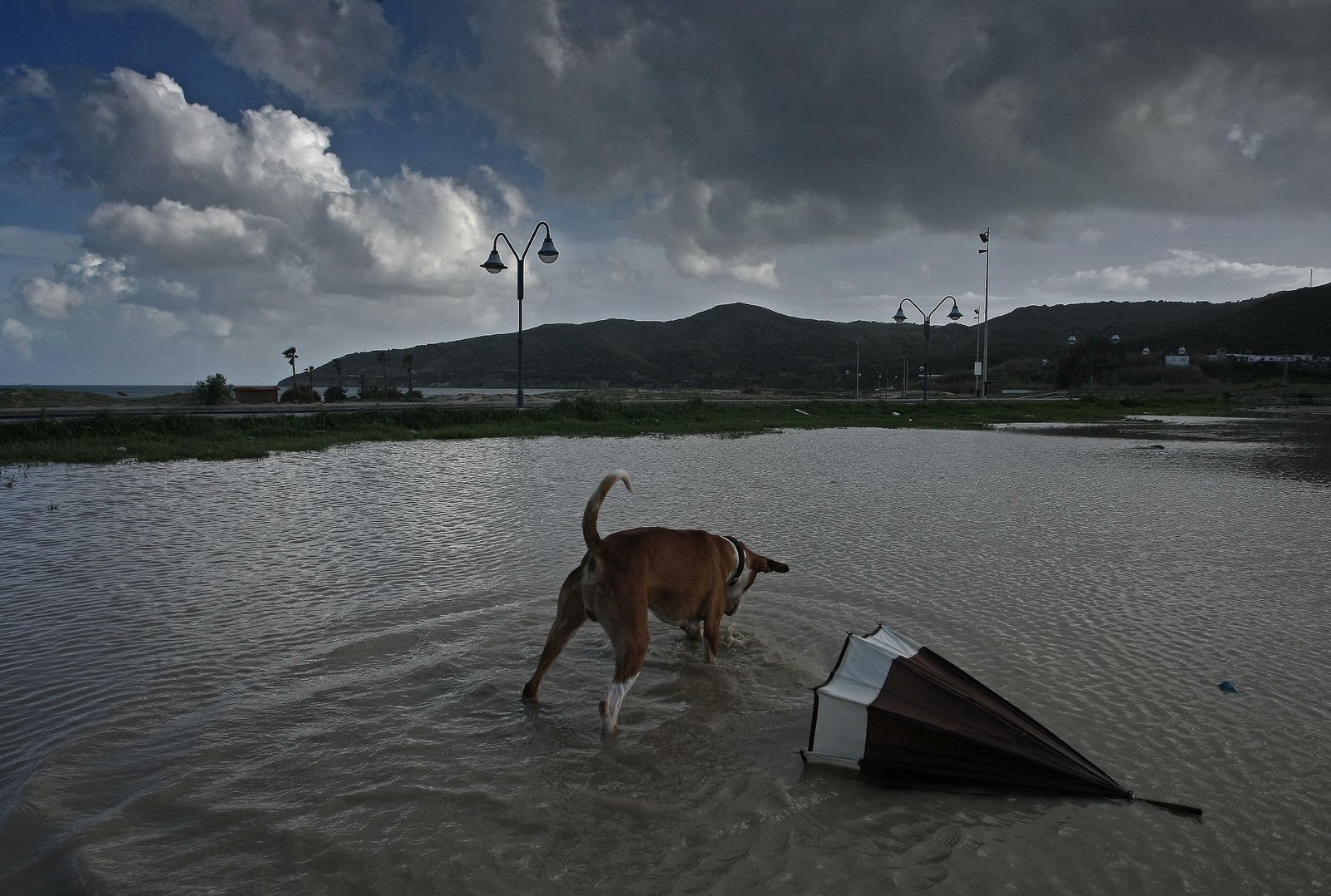 Imagen del último temporal de viento y lluvia en la comarca.