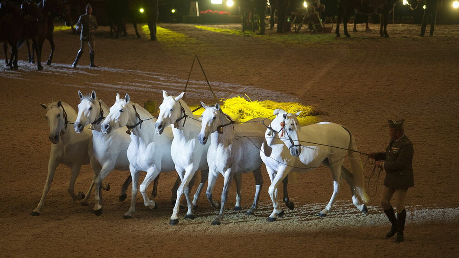 Caballos de pura raza, durante una exhibición en el salón SICAB