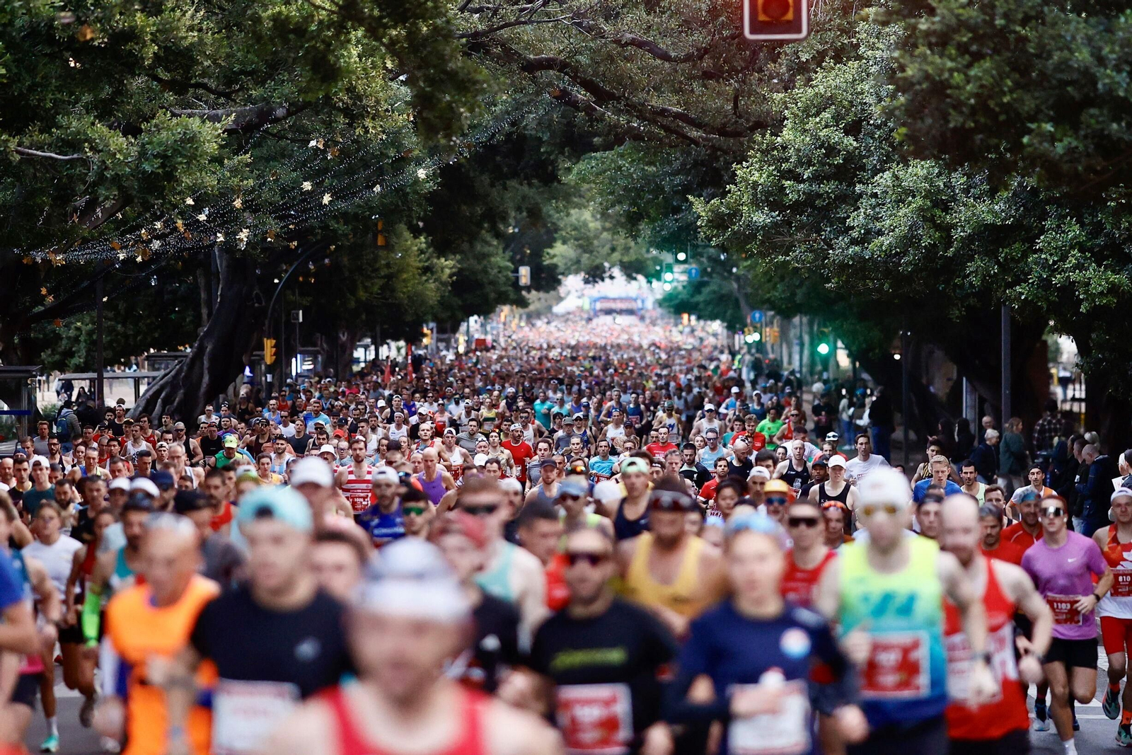 Imagen del Paseo del Parque.