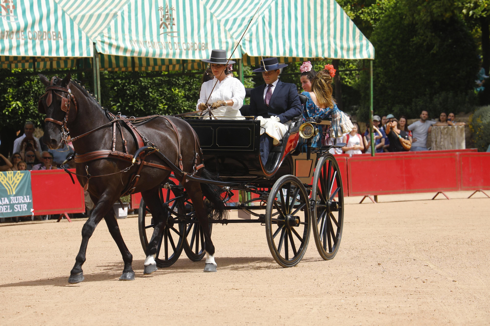 La Exhibición de Carruajes de Tradición de la Feria de Córdoba, en imágenes